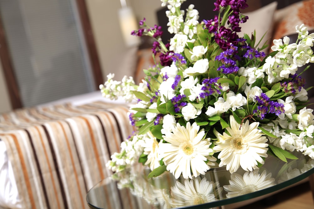 Kolin Hotel Spa & Convention Center 51/63