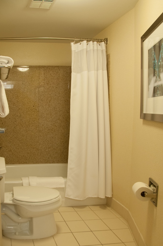 SpringHill Suites Marriott Colorado Springs South 20/59
