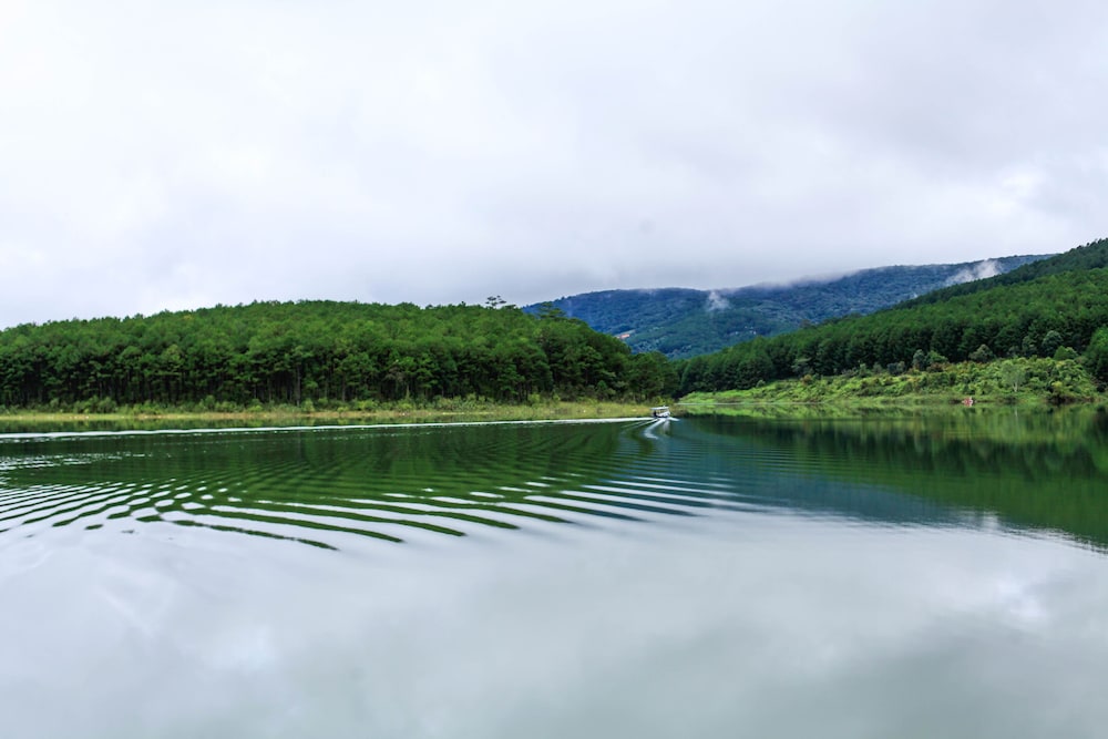The Lake House Dalat - Hostel 47/50