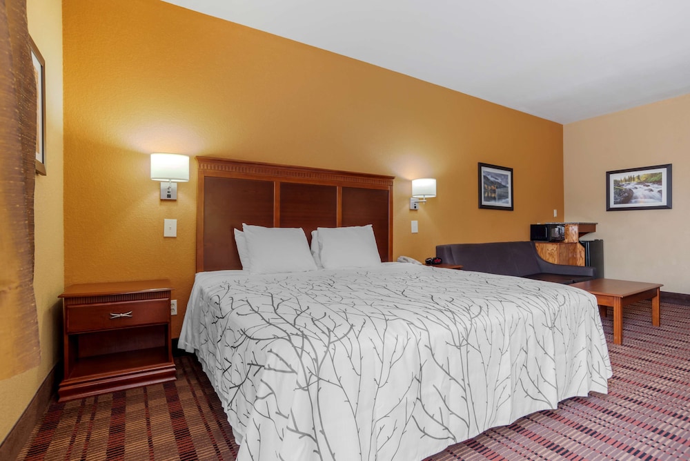 Suite, King Bed, Accessible