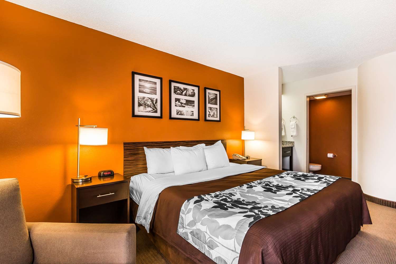 Sleep Inn Springfield South I60 near Medical District 12/40