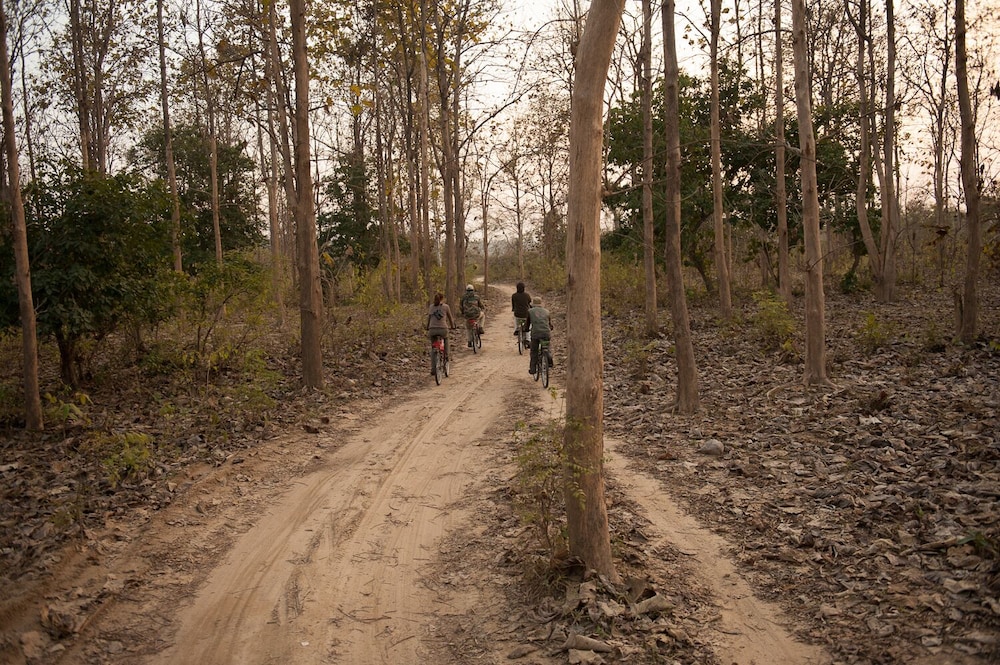 JIMS JUNGLE RETREAT 48/50