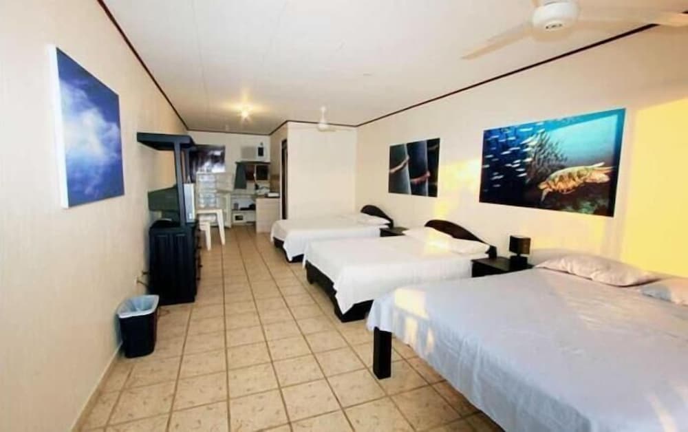 Blue Palm Hotel 9/31