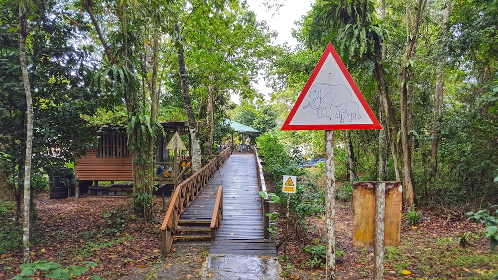 Borneo Nature Lodge 9/18