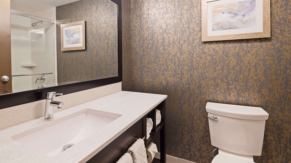 Best Western Plus Landmark Inn 17/43