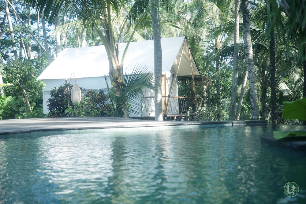 Ubud Tropical 38/44