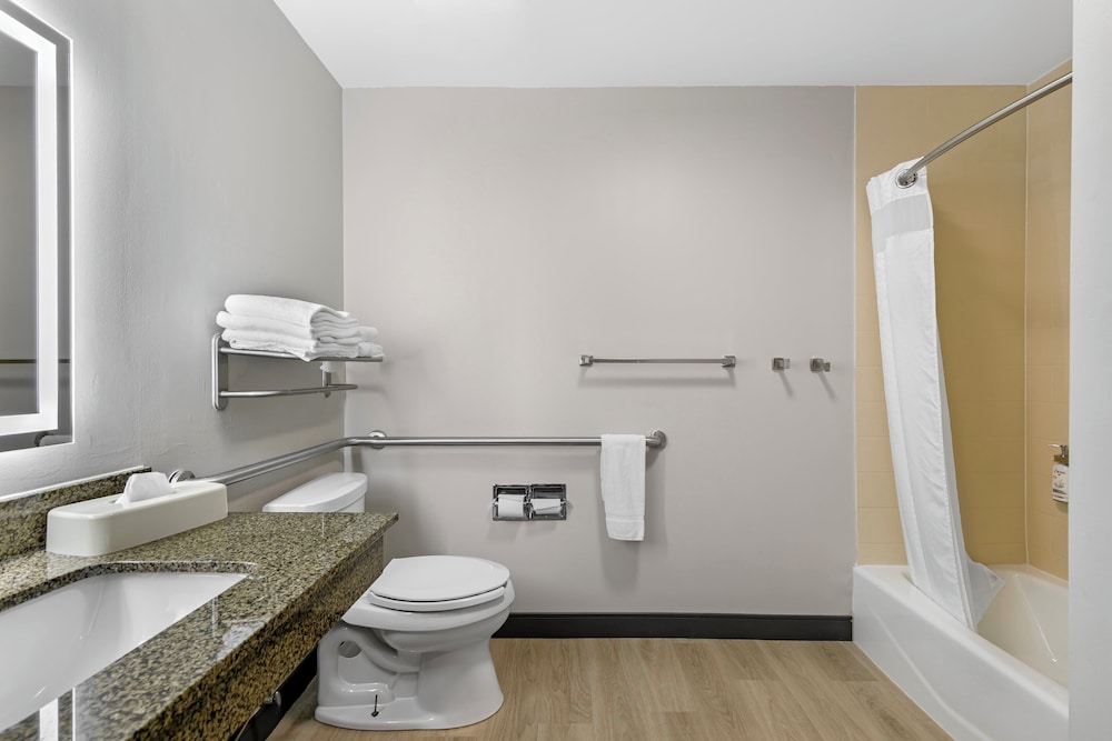 غرفة قياسية بسرير كينج لذوي الإعاقة، Holiday Inn Express & Suites Clemson - Univ Area 8/8