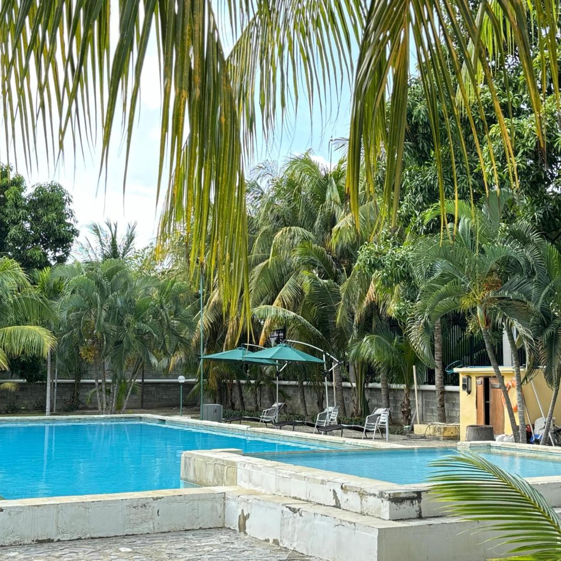 Palm Malinamoc Hotel 40/49
