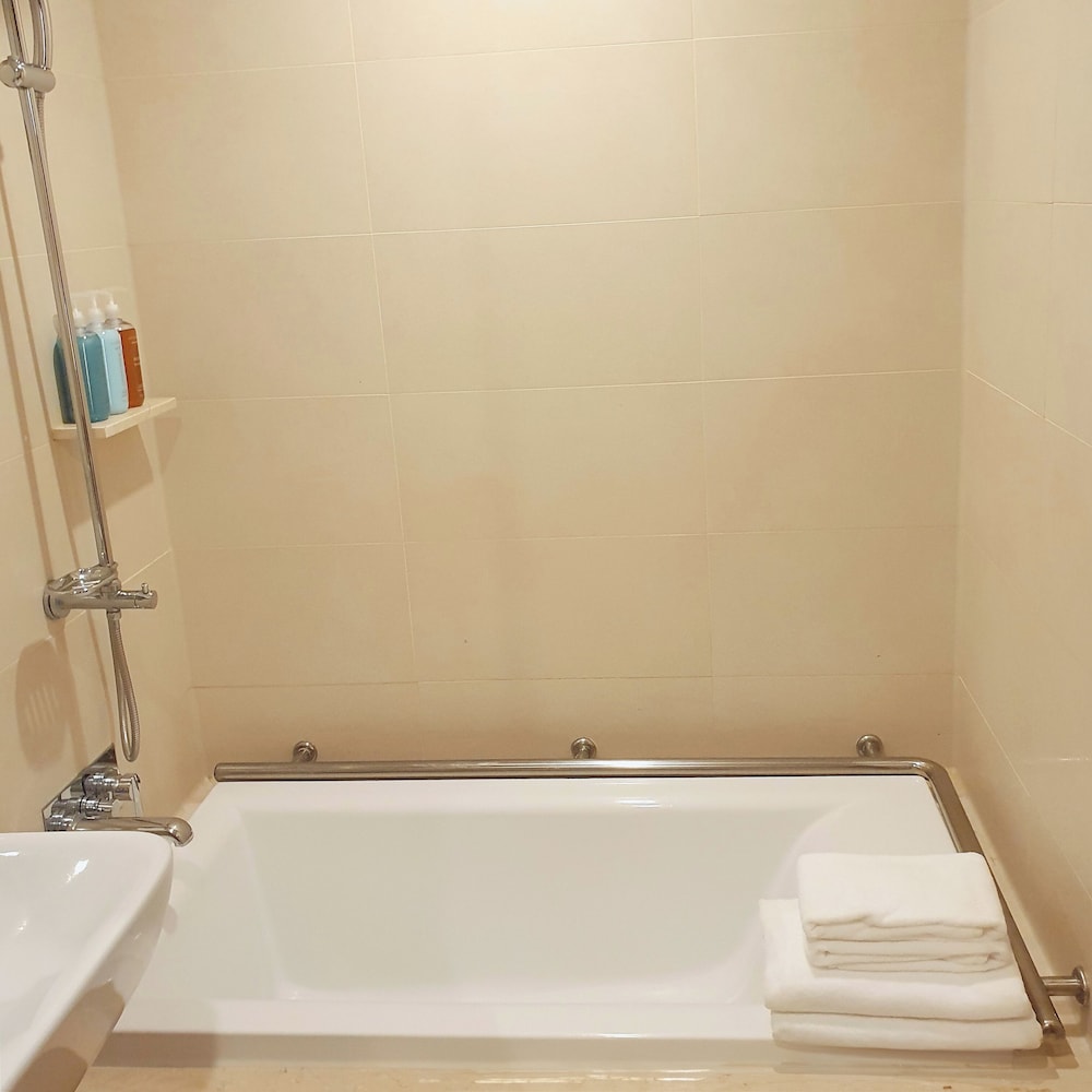 Hotel Skypark Central Seoul Pangyo 65/65