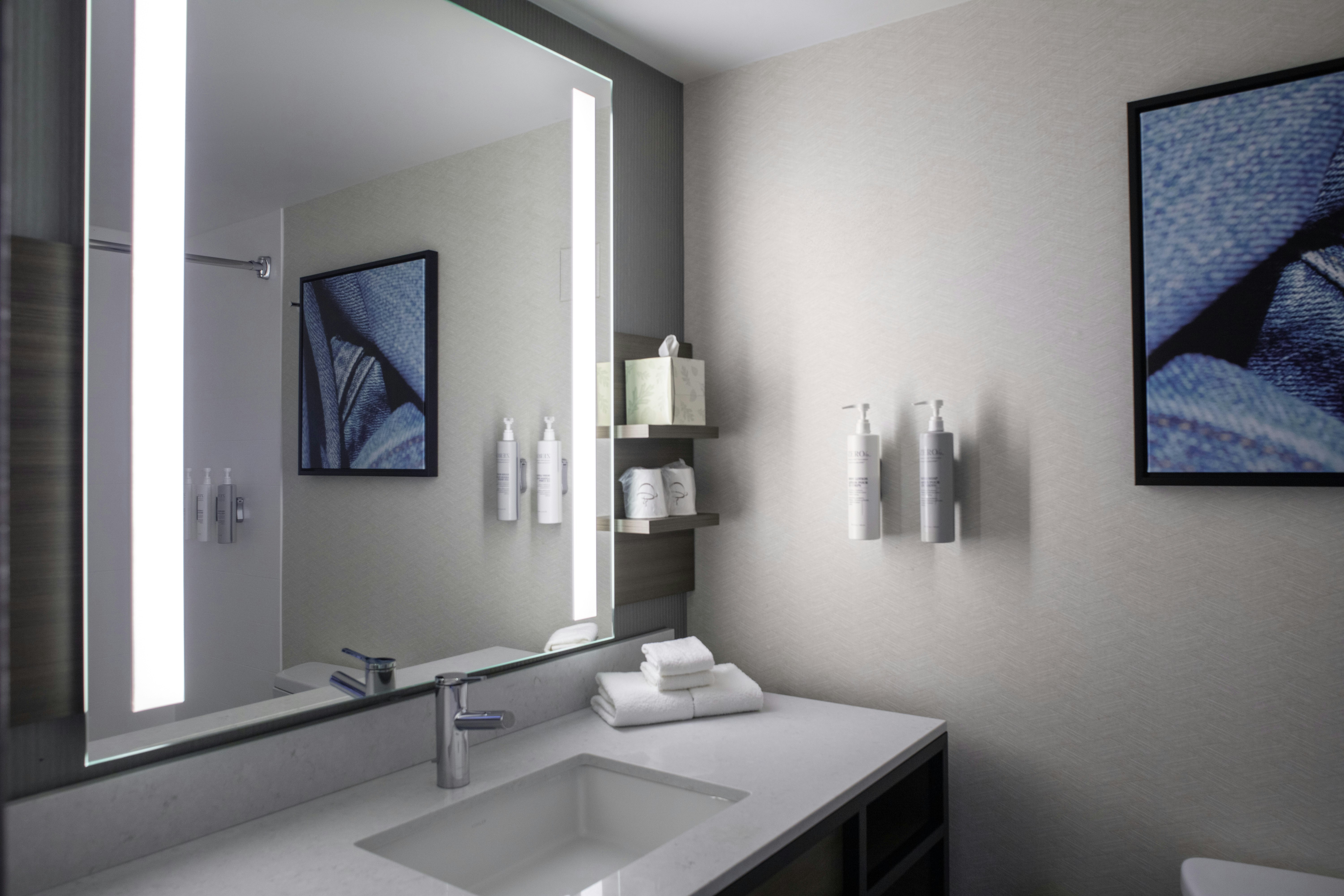 غرفة بسرير كينج لذوي الإعاقة، Hilton Garden Inn Roanoke Rapids 4/4