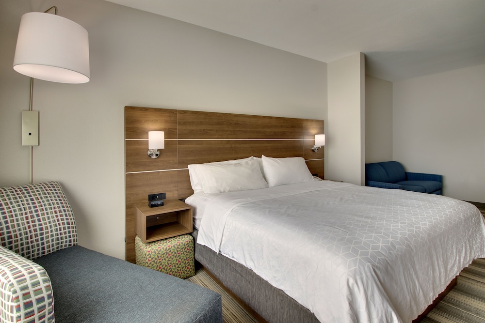 Holiday Inn Express Hotel & Suites Laurel 17/53
