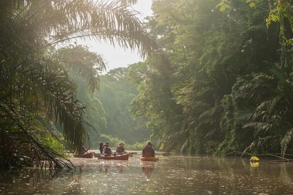 Cabinas El Icaco Tortuguero - Hostel 73/76