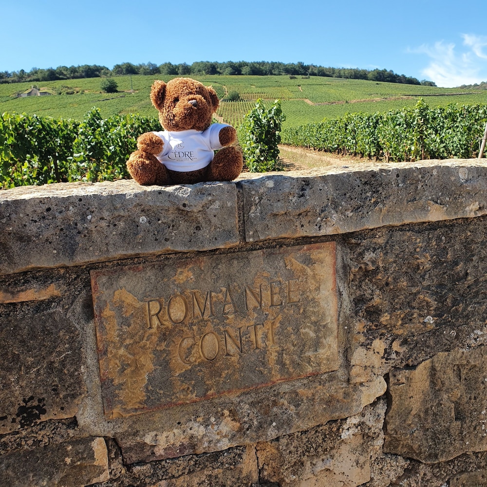 Hostellerie Cedre and Spa Beaune 10/55