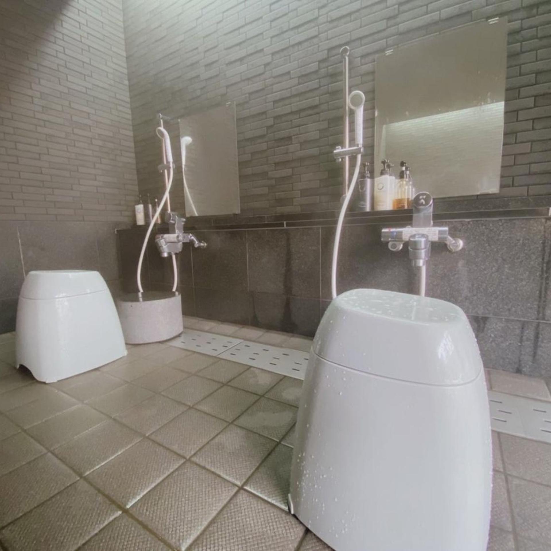 Tsuchiyu Onsen Harumiya Ryokan 53/54