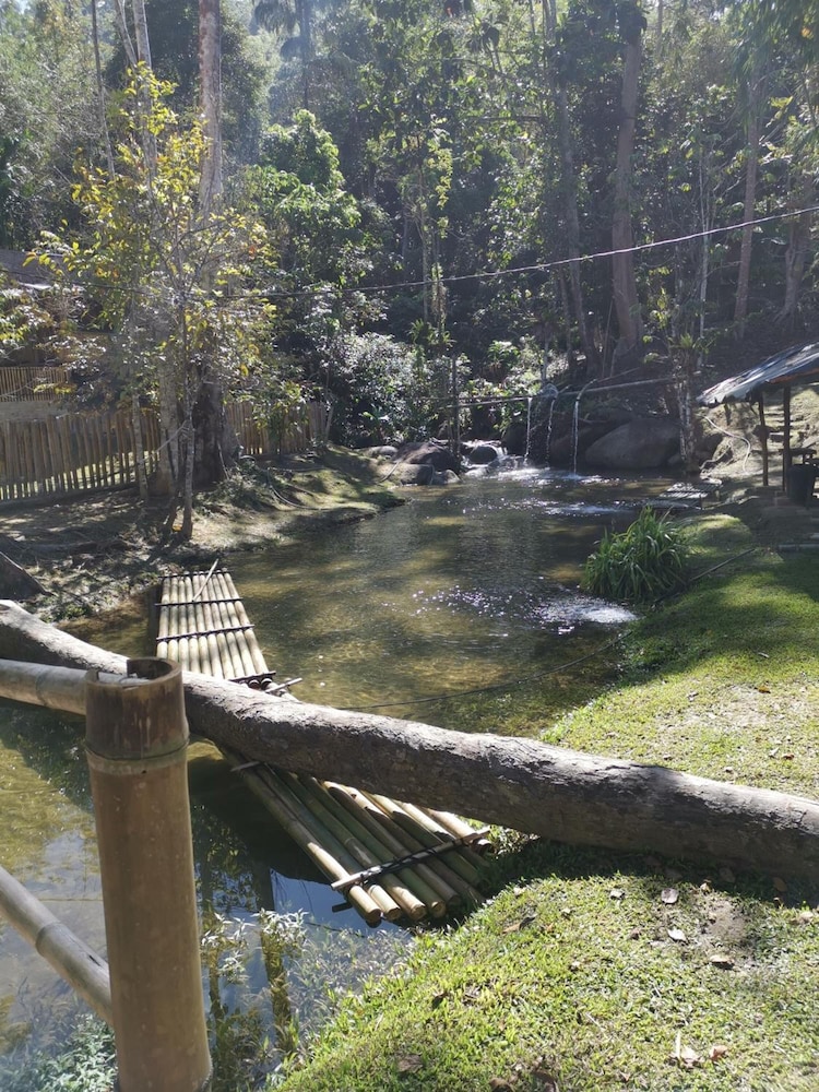 Rain Forest Inn 55/66