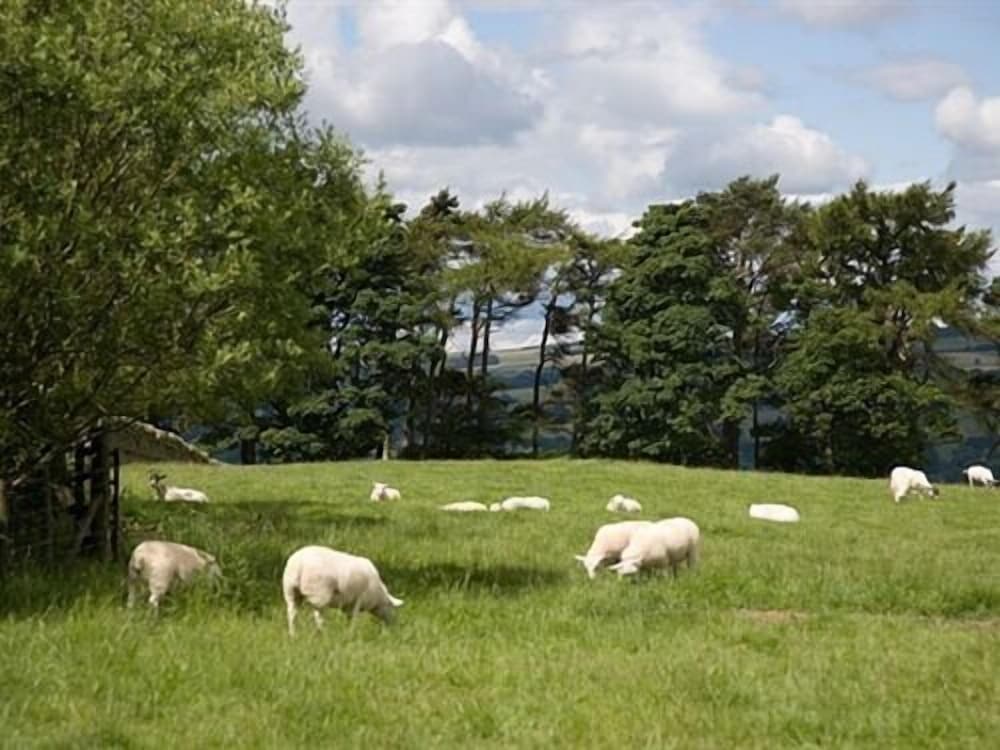 Rye Hill Farm 30/39