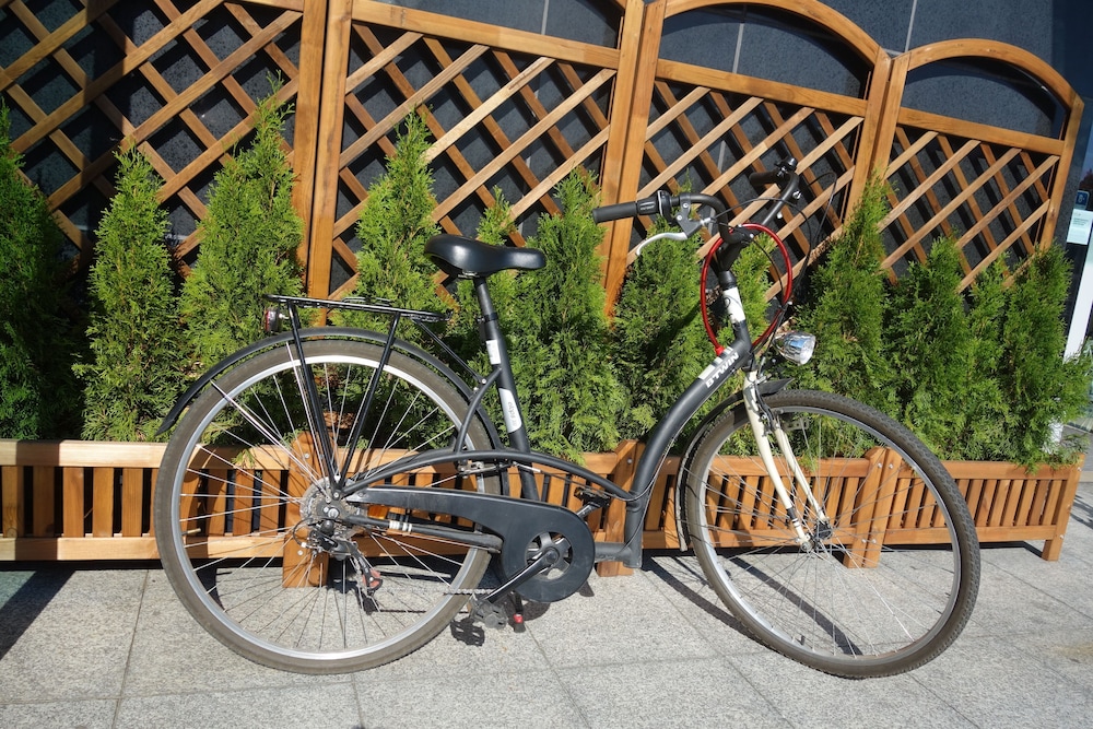 Hotel Desilva Inn Katowice Airport 20/38