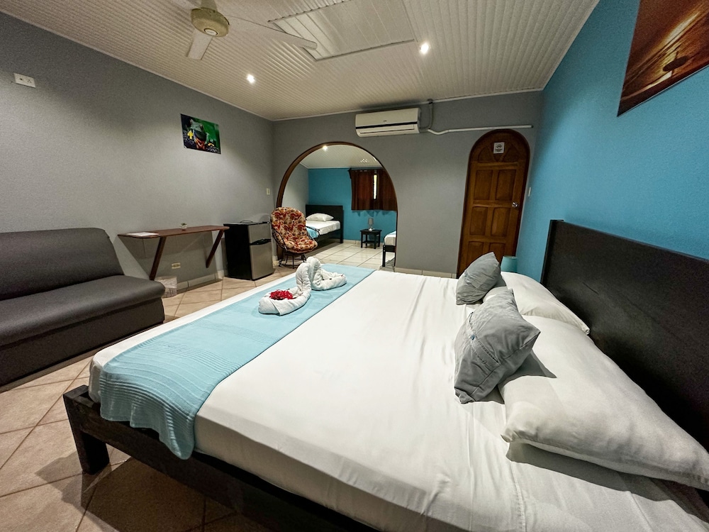 Hotel Colibri 11/50