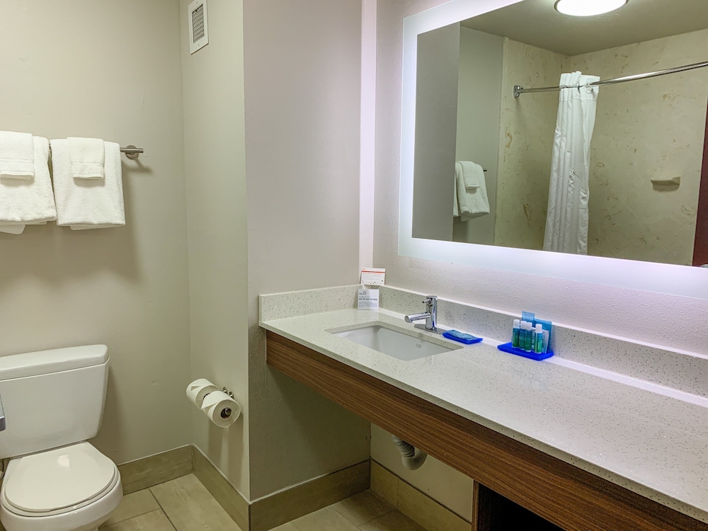 جناح بسرير كينج مع أريكة لذوي الإعاقة، Holiday Inn Express & Suites Lexington Dtwn Area-Keenland 5/8