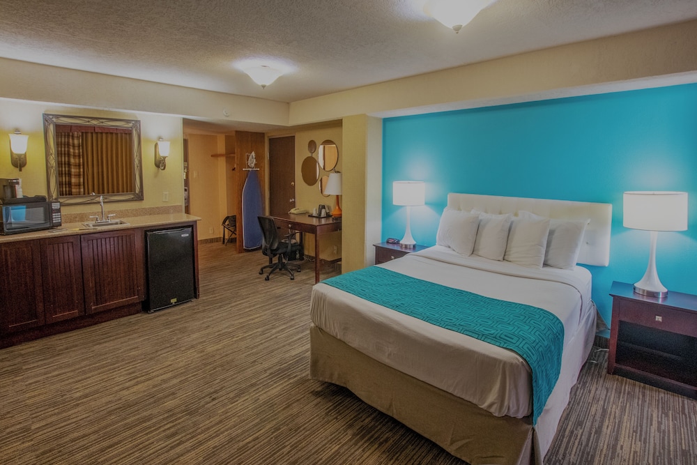 Hotel 505 16/49