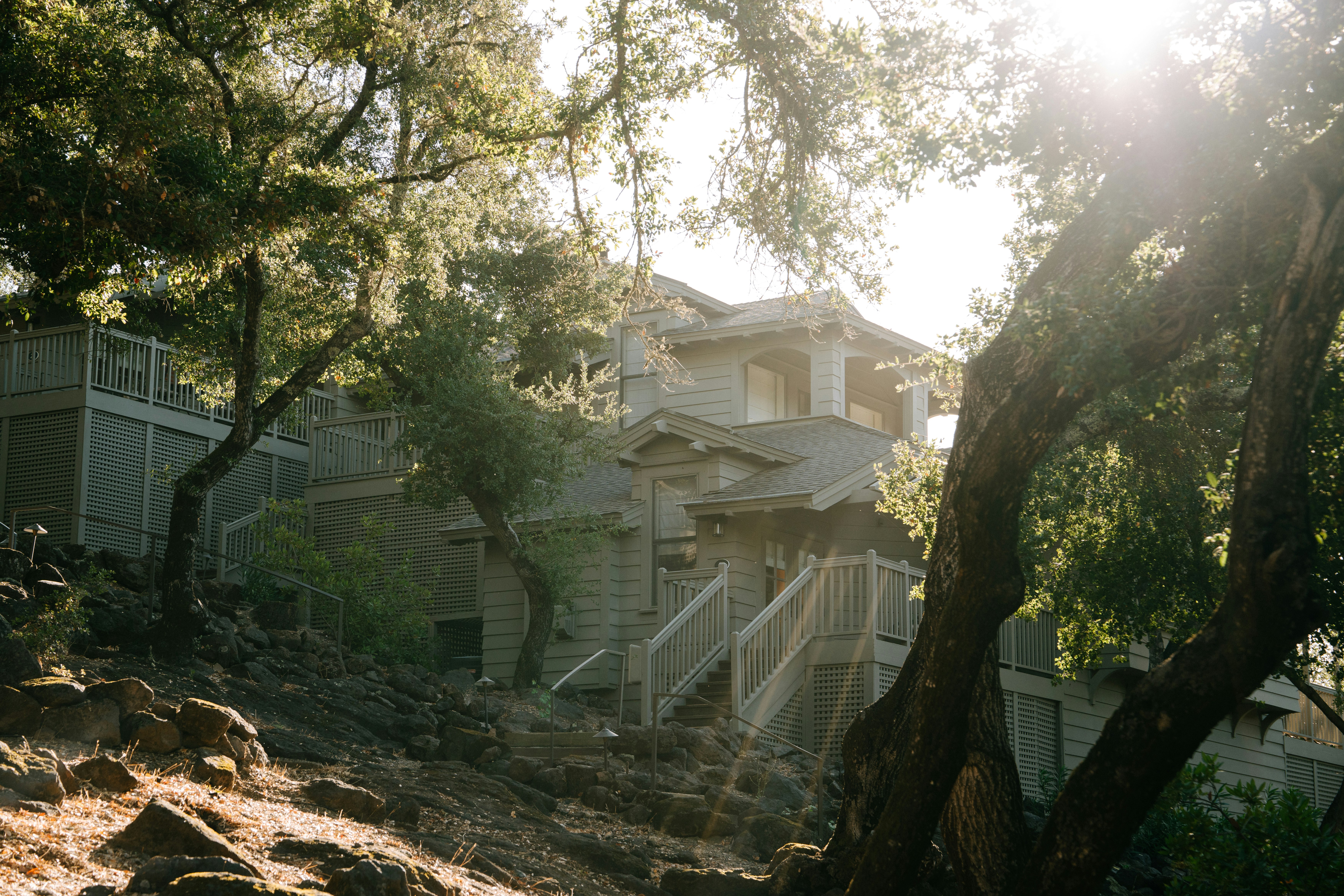 Meadowood Napa Valley 42/50