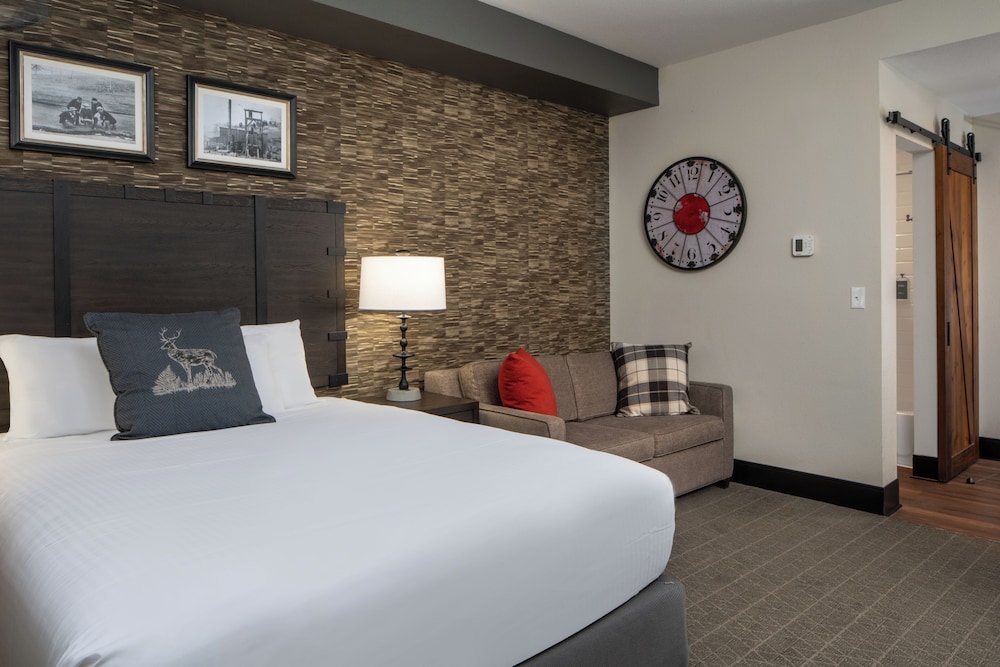 Junior Suite, Studio, Queen Bed