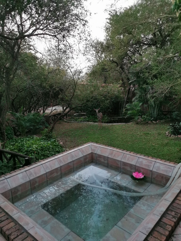 Homebase Kruger 17/39