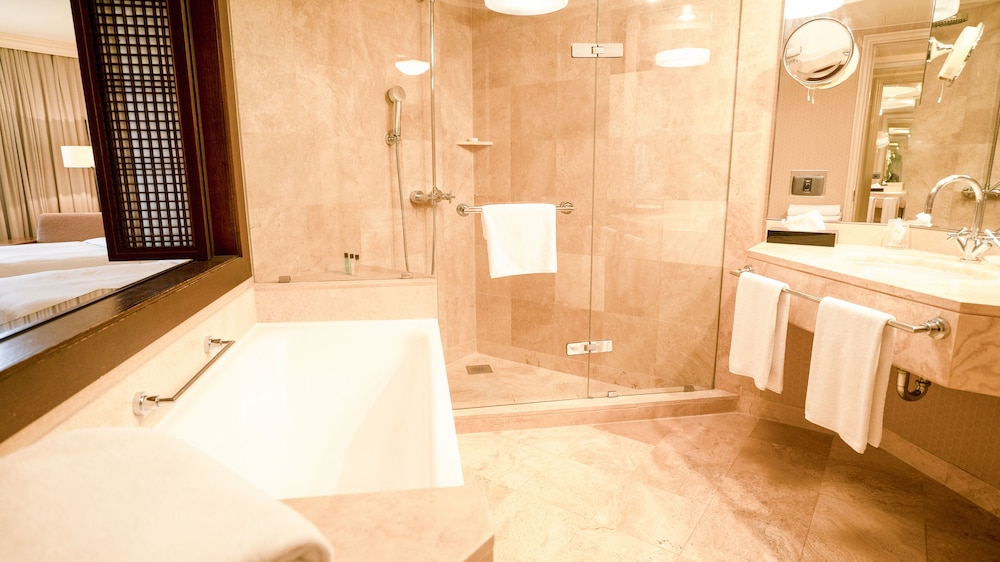 Grand Hyatt Istanbul 21/76