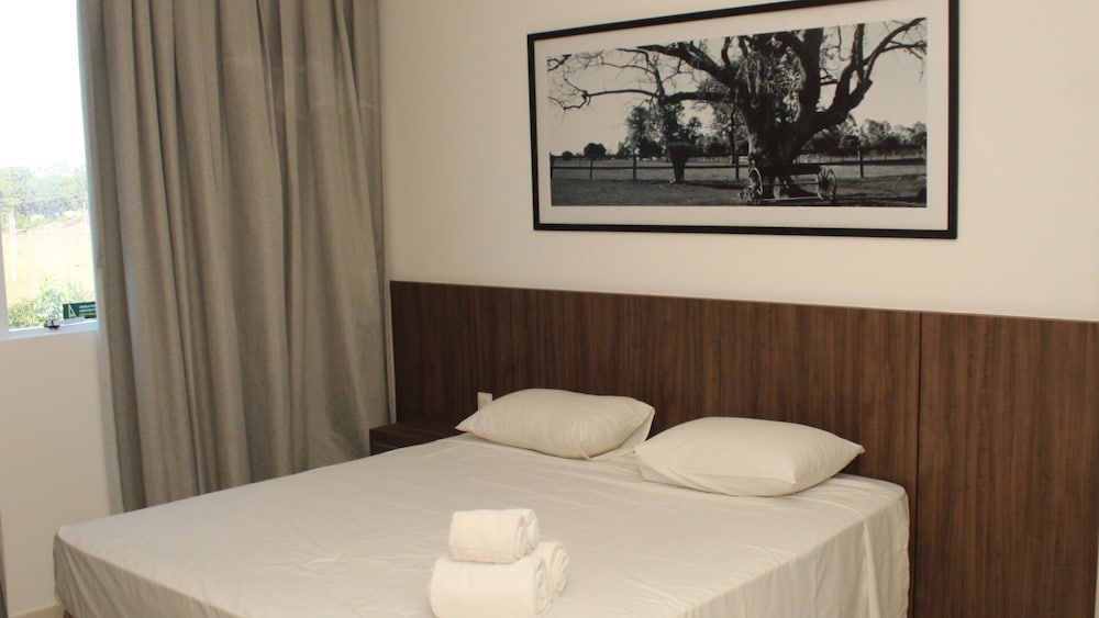 Barretos Park Hotel 8/49