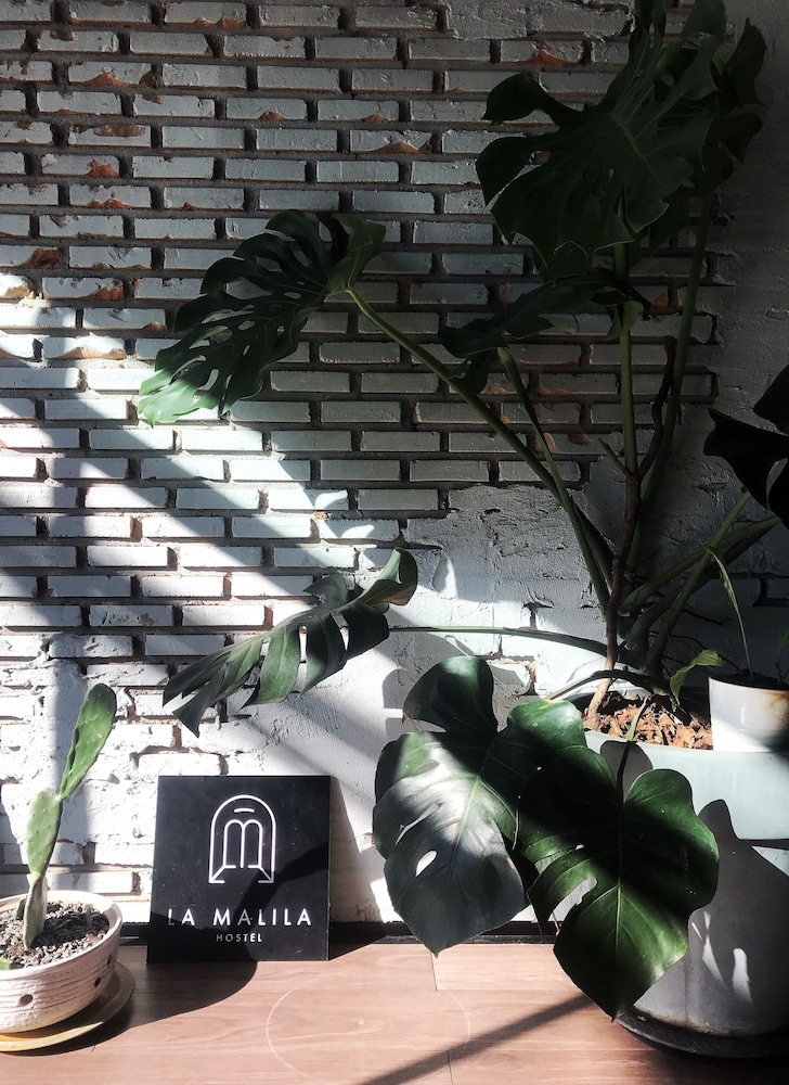 La Malila Hostel 5/50