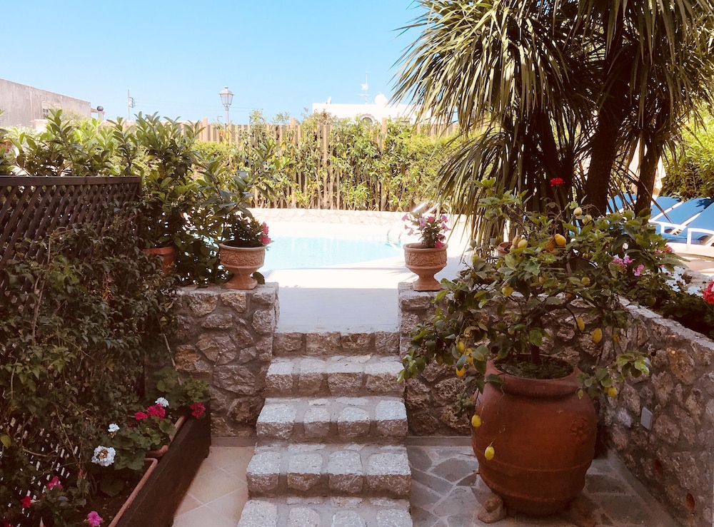 Capri Bougainville 45/49