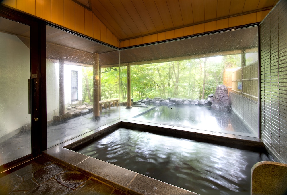 Hotaka View Hotel 26/50