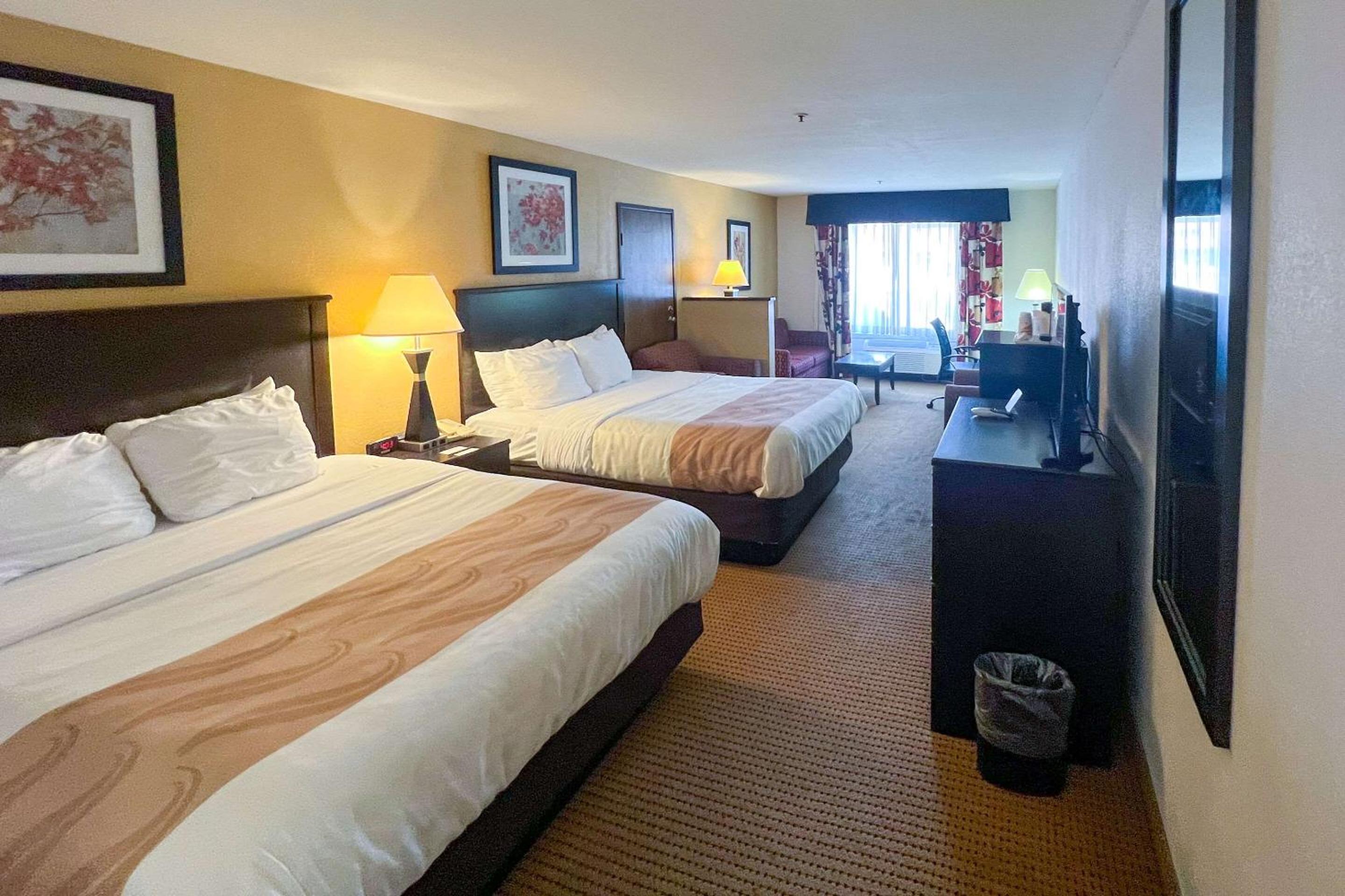 Suite, Queen Bed
