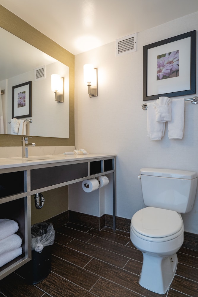 Hilton Garden Inn Temple Medical Center 33/51