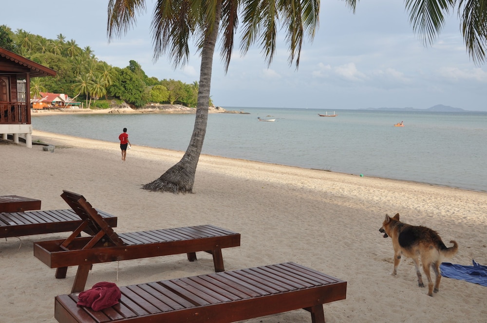 Phangan Rainbow Bungalows 18/30