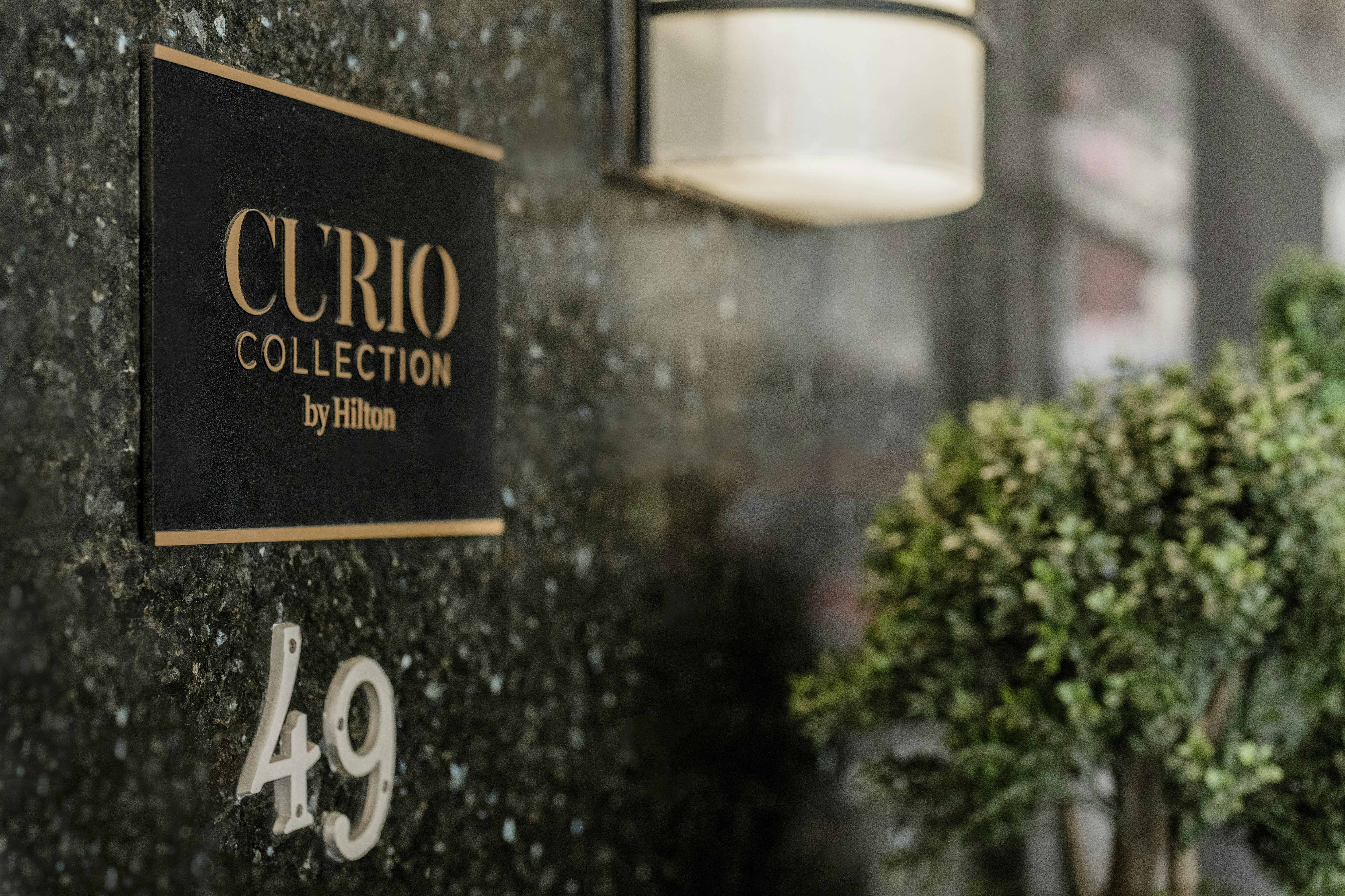 The Martinique New York On Broadway Curio Collection By Hilton 19/50