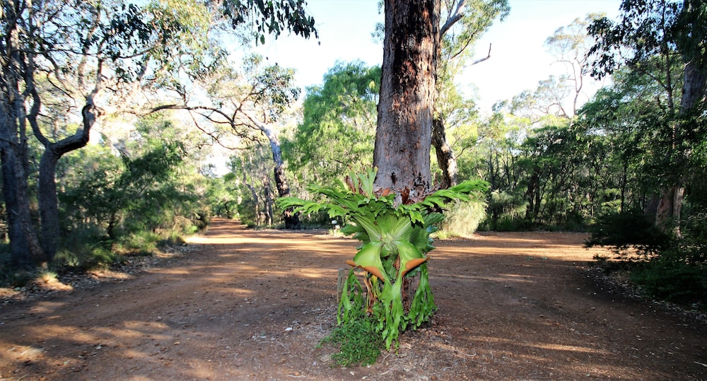 MARGARET RIVER BED AND BREAKFAST 36/48