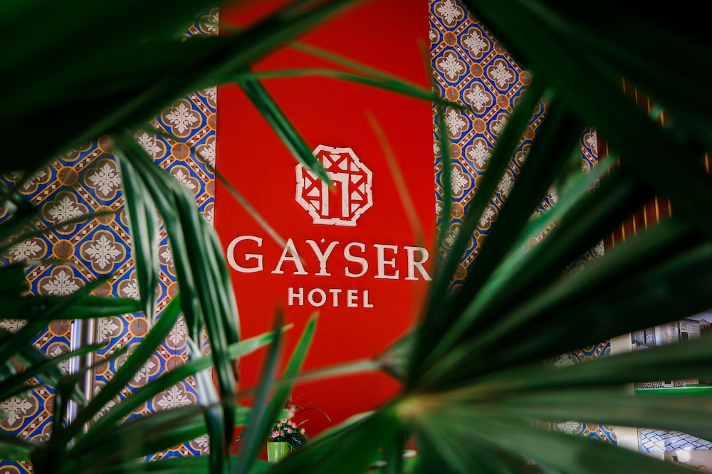 Hotel Boutique Gayser 31/53