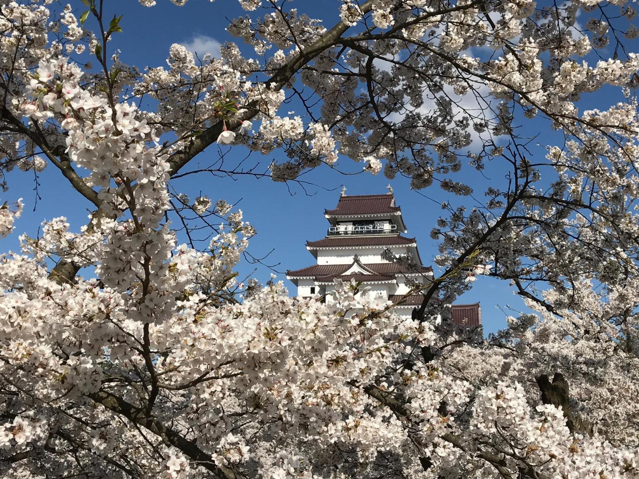 Aizu Higashiyama Onsen Niko Ryokan 29/29