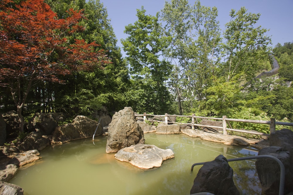 Yumoto Shirogane Onsen Hotel 46/50