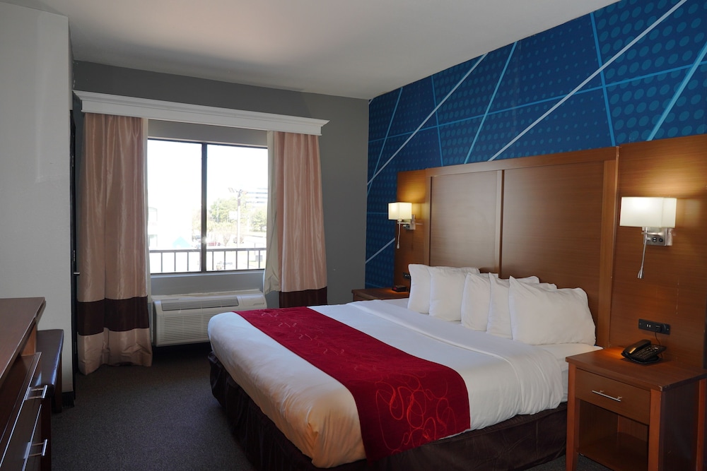 SUITE, KING BED