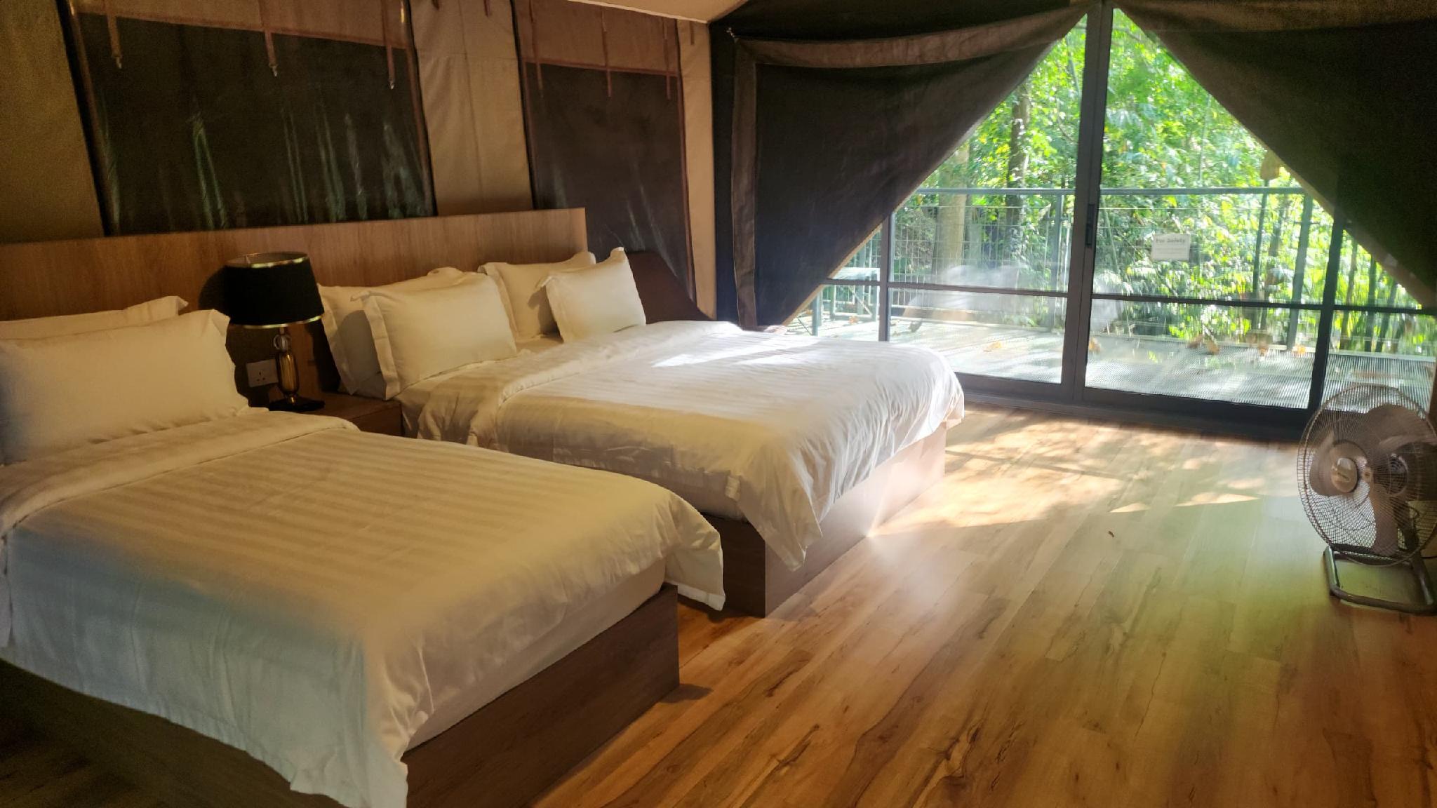 Safari, Tent