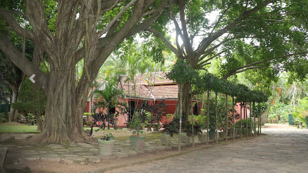 Villa Sunshine Hotel 14/14