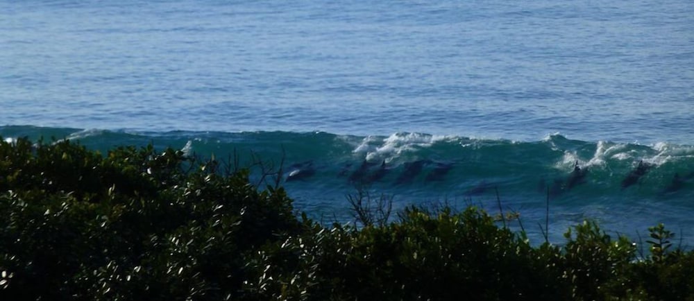 Shaloha Guesthouse On Supertubes 33/35
