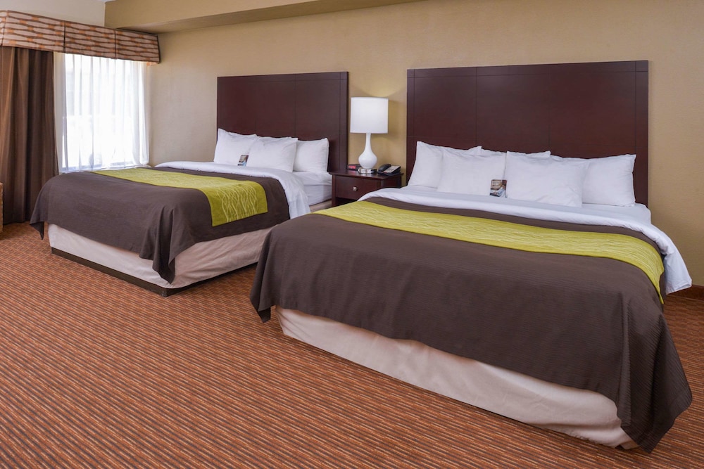 Holiday Inn Express And Suites Joplin Southeast by IHG 12/58