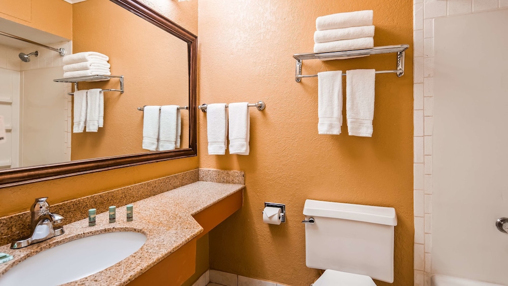 Best Western Red Carpet Inn 15/28