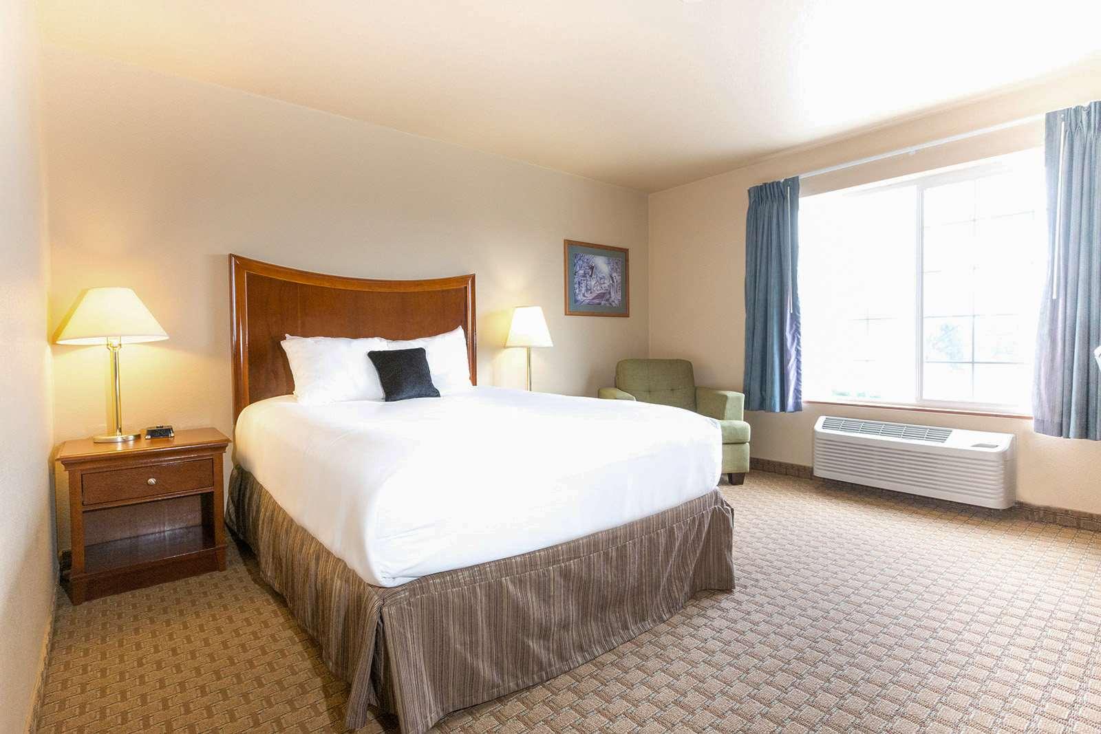 Room, Queen Bed