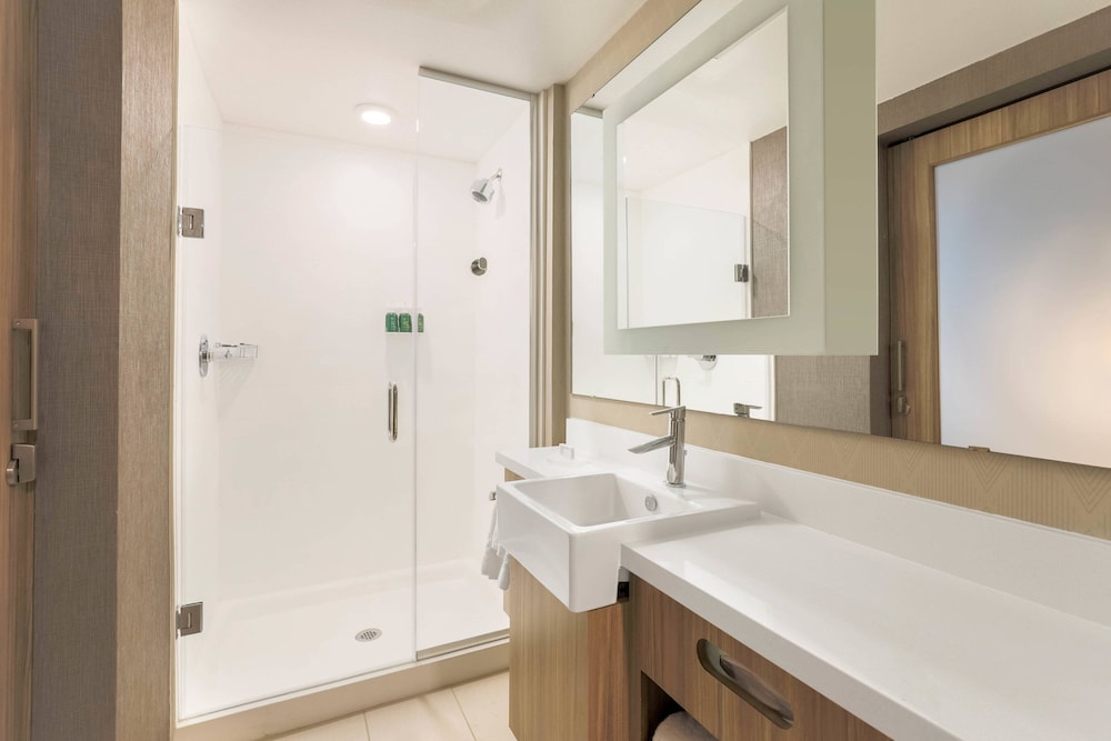 SpringHill Suites by Marriott Tallahassee North 12/48