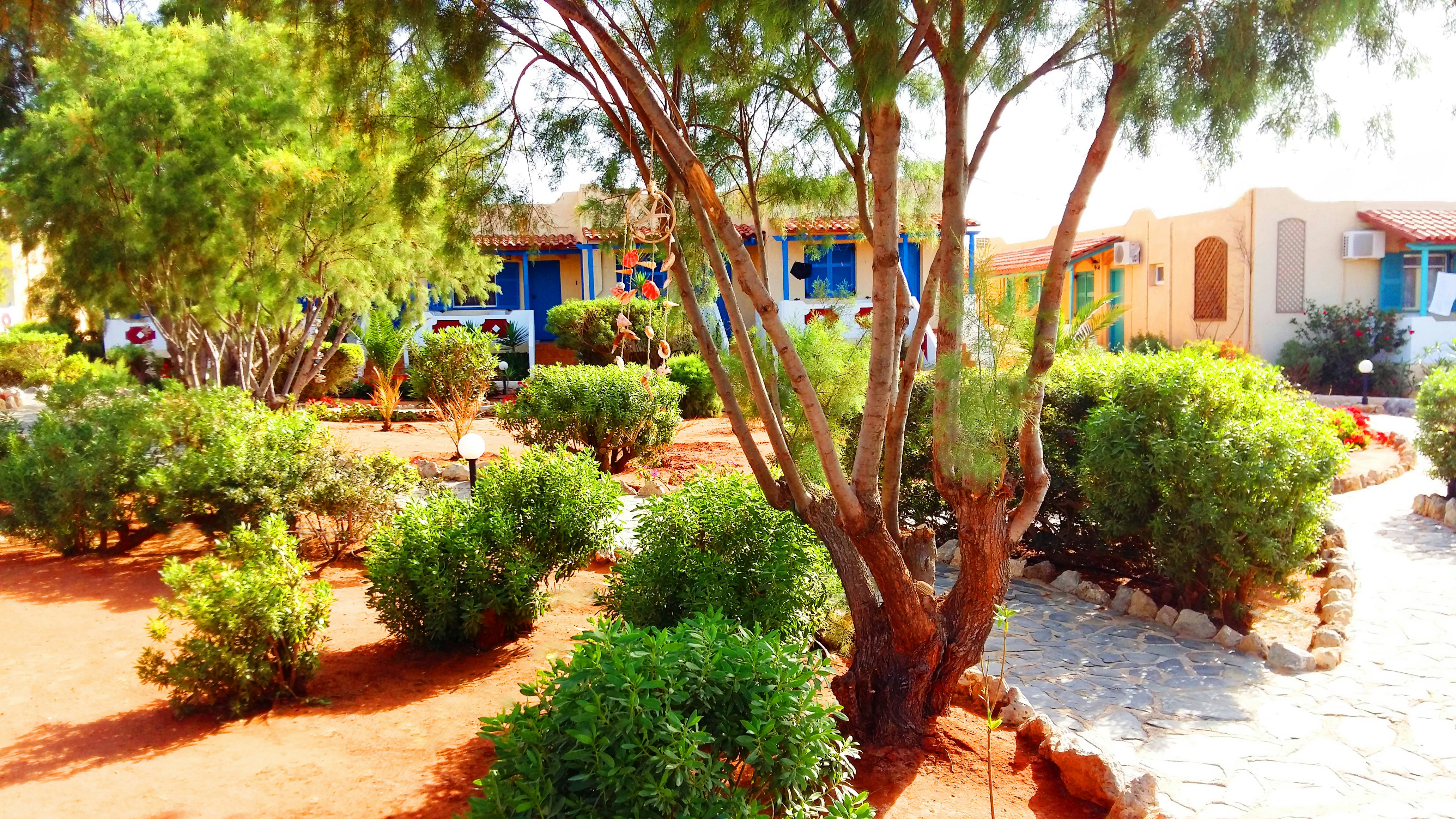 Zorbas Beach Village Hotel 34/49