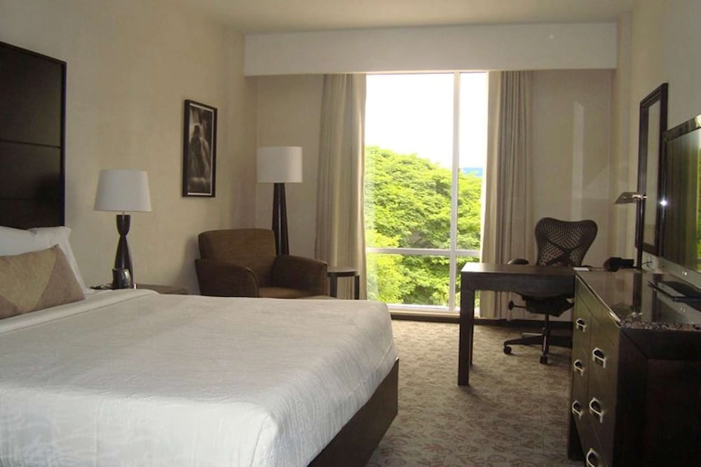 Hilton Garden Inn Tuxtla Gutierrez 23/59
